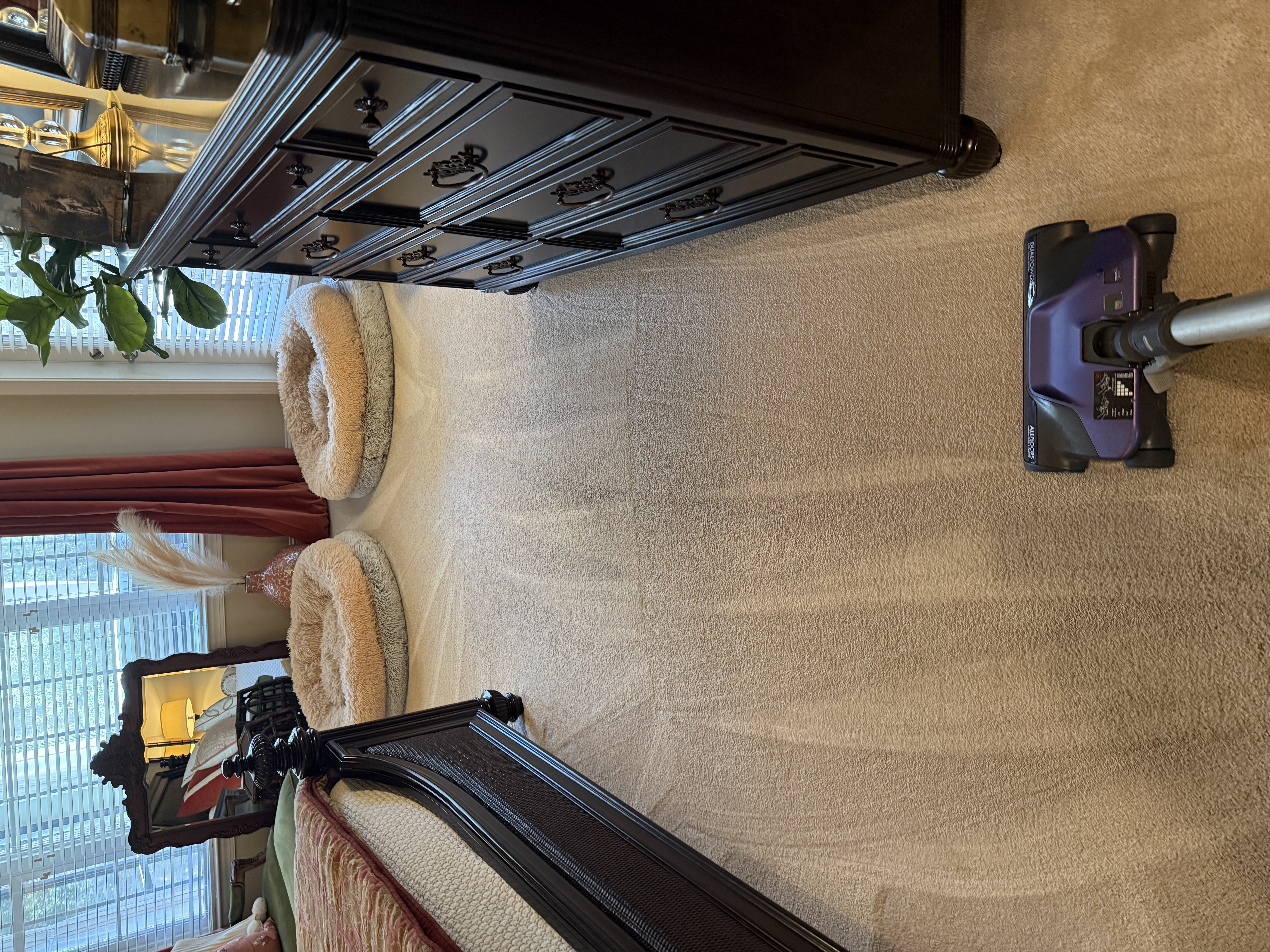 BEST House Cleaning Services in Myrtle Beach